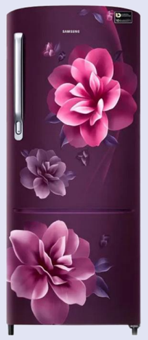 Samsung RR20C2722C Single Door Refrigerator 192L Direct Cool Red